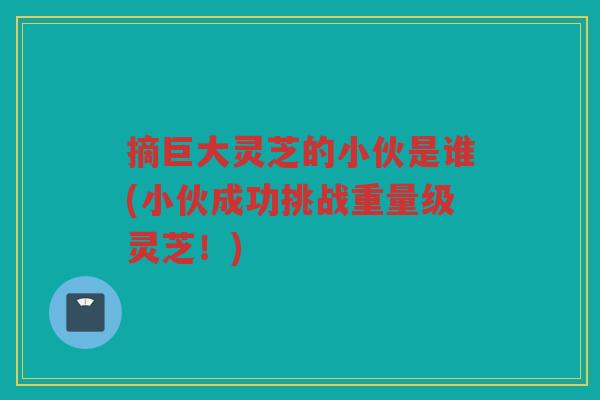 摘巨大灵芝的小伙是谁(小伙成功挑战重量级灵芝！)
