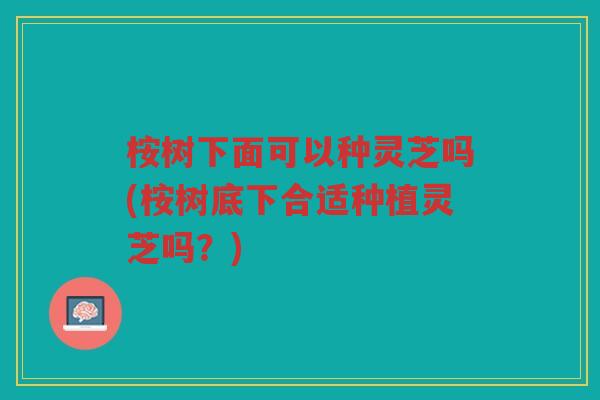 桉树下面可以种灵芝吗(桉树底下合适种植灵芝吗？)
