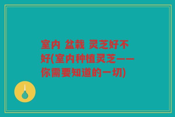 室内 盆栽 灵芝好不好(室内种植灵芝——你需要知道的一切)
