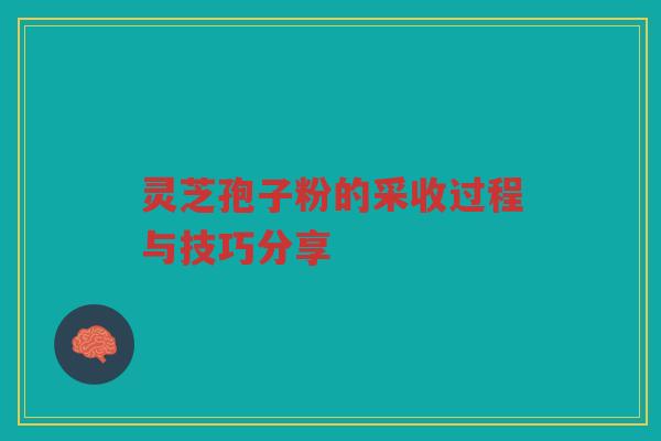 灵芝孢子粉的采收过程与技巧分享