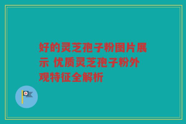 好的灵芝孢子粉图片展示 优质灵芝孢子粉外观特征全解析