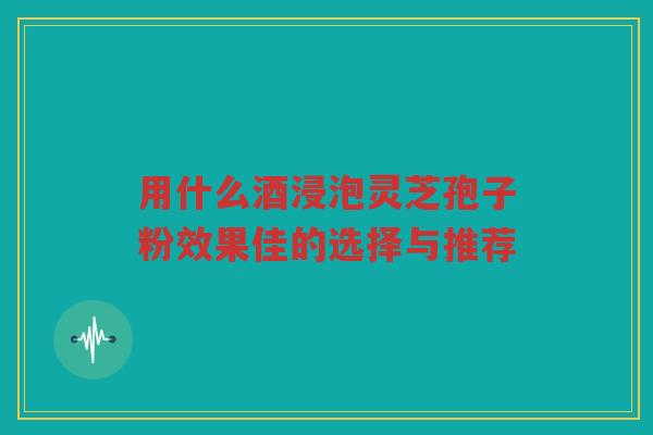 用什么酒浸泡灵芝孢子粉效果佳的选择与推荐