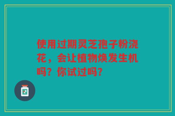 使用过期灵芝孢子粉浇花，会让植物焕发生机吗？你试过吗？