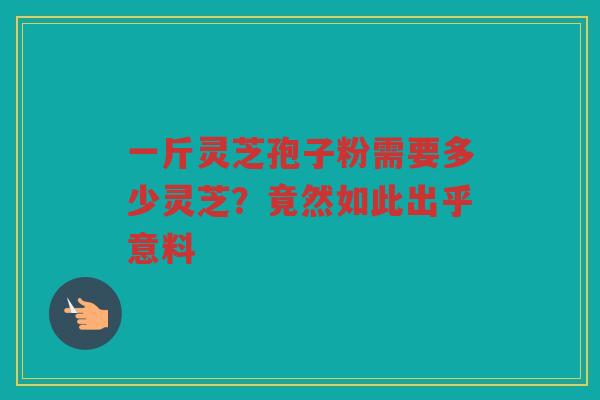 一斤灵芝孢子粉需要多少灵芝？竟然如此出乎意料