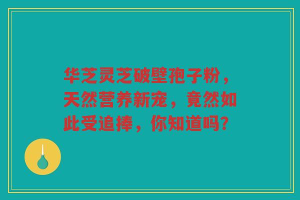 华芝灵芝破壁孢子粉，天然营养新宠，竟然如此受追捧，你知道吗？