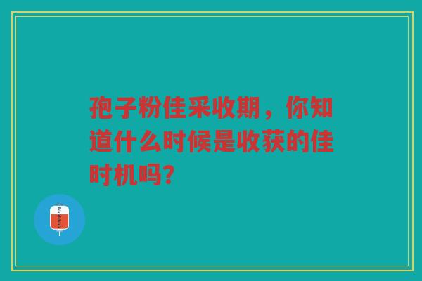 孢子粉佳采收期，你知道什么时候是收获的佳时机吗？