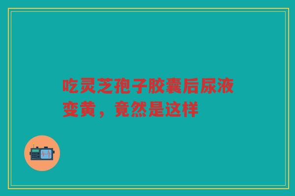 吃灵芝孢子胶囊后尿液变黄，竟然是这样