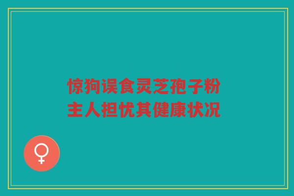 惊狗误食灵芝孢子粉 主人担忧其健康状况